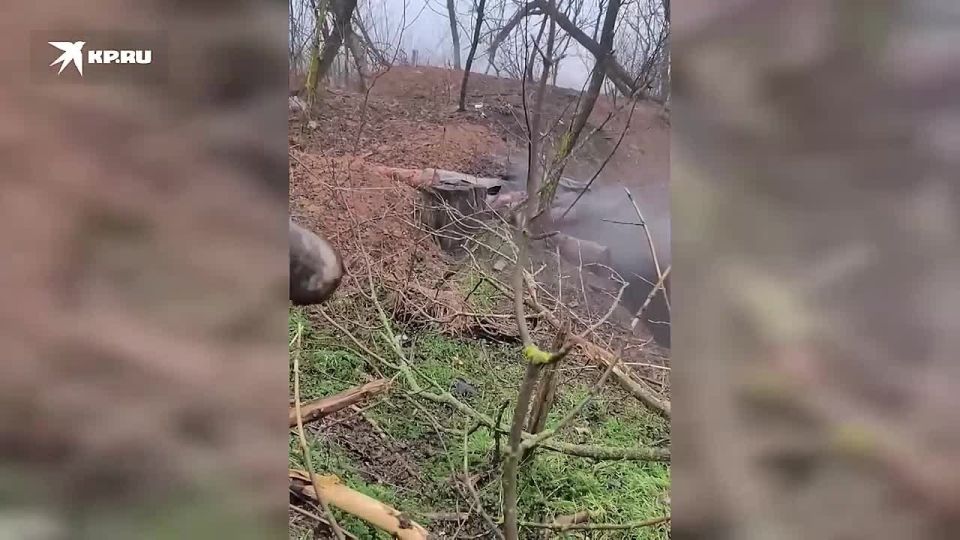 ������ � �������� �����: ���������� ���������� ����� ������� � ����������� �������