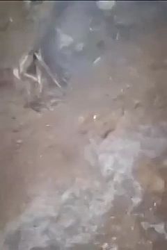 ������ ��������� ������ � ������ ������� - ���������� ������� ���� ���� ����, ��� �� �������