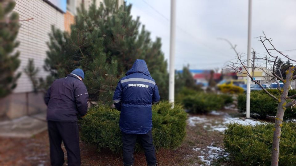 � ���������� ������� ������ �� ����� �� ������� ������������