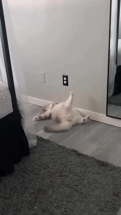 ������ �������. ������� ��� ��� ������ � ������ �� ������, �� ����� �� ������