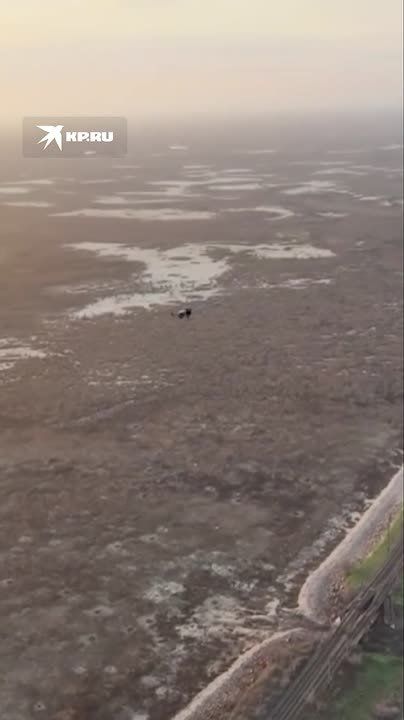 �����-������������ ����� ������� ������������ ��� � ����������� �������