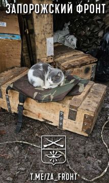 ���� ������� ���� � ������������ �����������