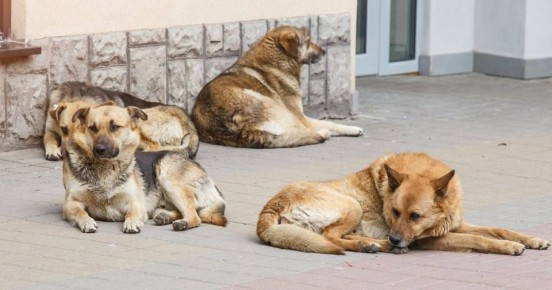 ���������� ������� ����������� �������������� ������ � ���, ��� � ����������� ������� ����� ������ ���-��� ��� ����� ���������� � ������ ��������� ������������ ��������!