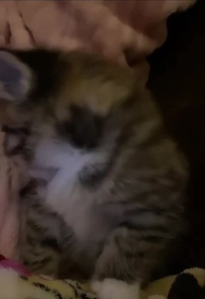 ��� � �����. �������� � �������� ����������