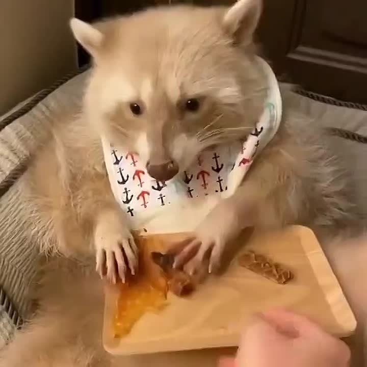 ������ ����, ������! �������� ��� ��� � ��������� ����������!