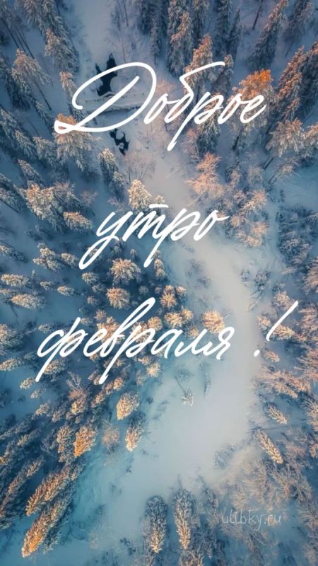 ������ ����, ������������. ����� ���� ����� ��������� � �������!