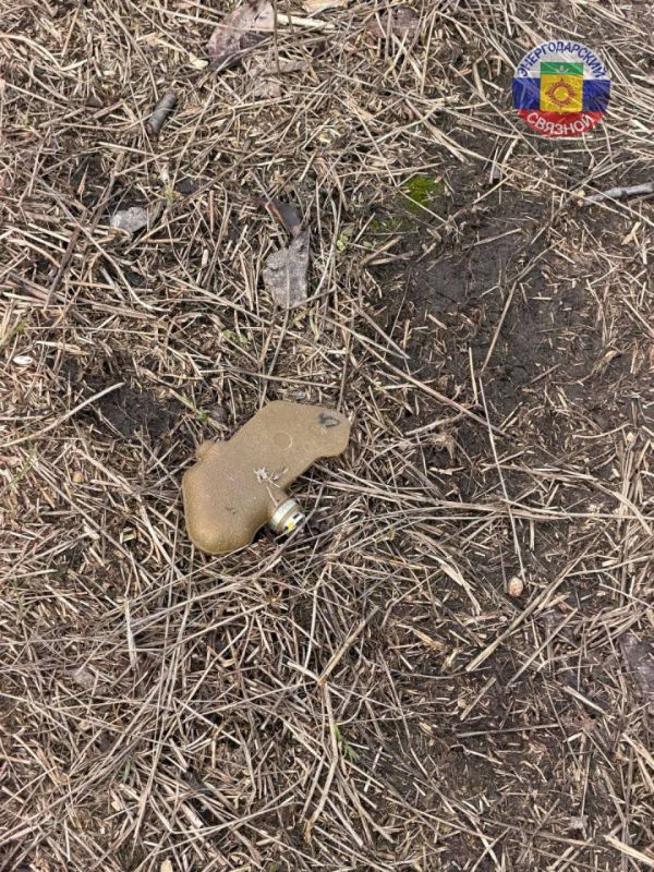 ������� ��������������. ������� �� ������ ��������-������������ ������ ���������� ������������ �������� ���������� ���������������� ����, ��������� ��� ��������� ( ��� �������� ������ �� ����)