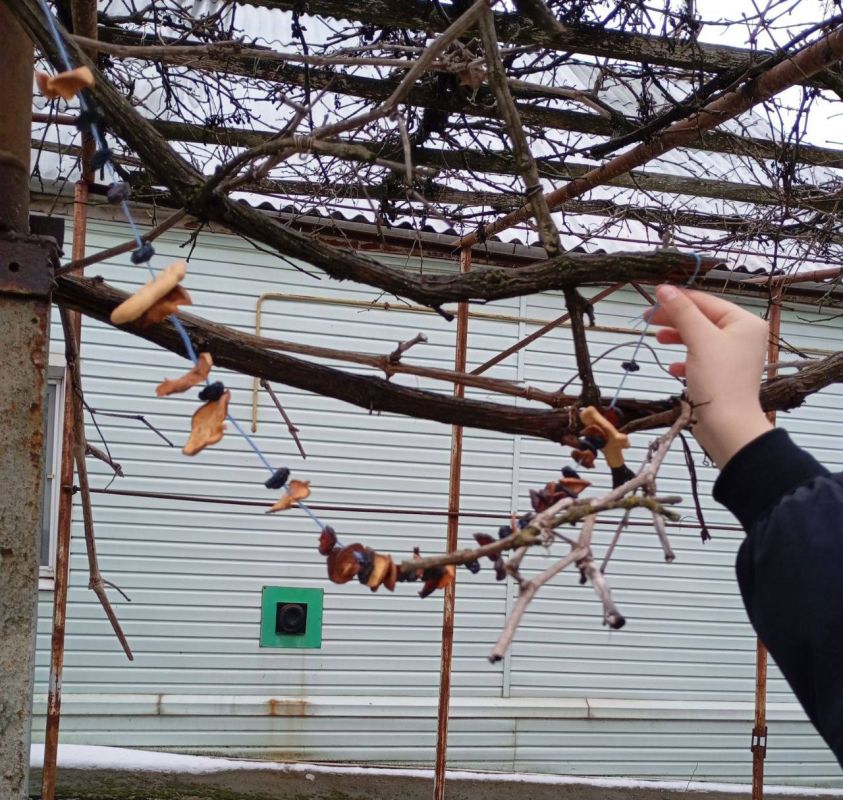 ���������� ��������� ���������� � �� ���� �������� �������������� � ��������� ������������� ������������� ����� "������� ���� �����"