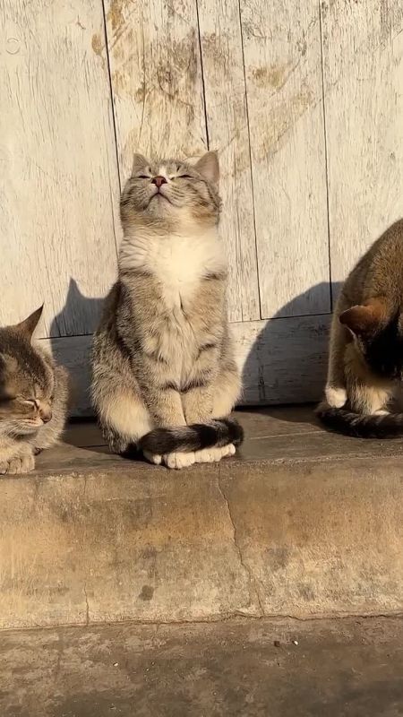 ����� � ��������� �������. ������ �� �������� �� ��������, � �� ��� ��� ��� ��