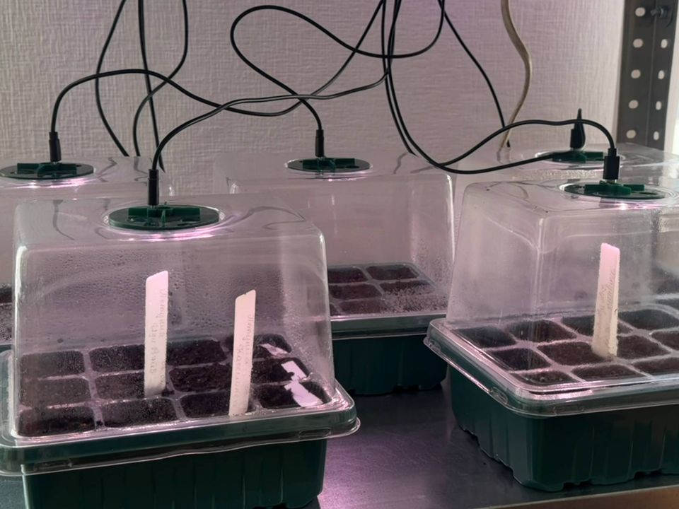 ����������� ���� ���� ��ʻ ������� �������� ����� ��� �������� ������������������� ������� �������������� ����� �4 � ���������� ����� �27