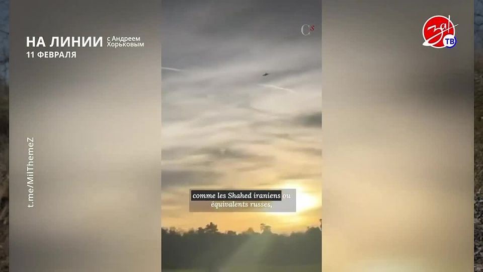 ���������� ���������� �� ������ ������ � ������� ��������� � ��������� ��� ����� | 11 �������