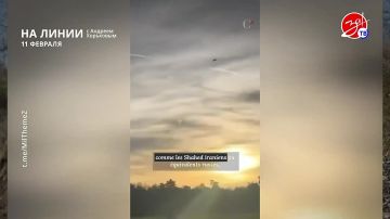 ���������� ���������� �� ������ ������ � ������� ��������� � ��������� ��� ����� | 11 �������