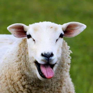 ������� (����������� ��������� ����) � ��� �������� �����������, ���������� ���� �������������� �������������, ������� �������� ����, ����, ���, � ����� ����� ��������