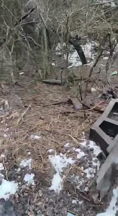 ����������� �����������.. ������������ ��������������� ����� � ��������� � �������� �������� ������ ����������� ����� ���������� �������