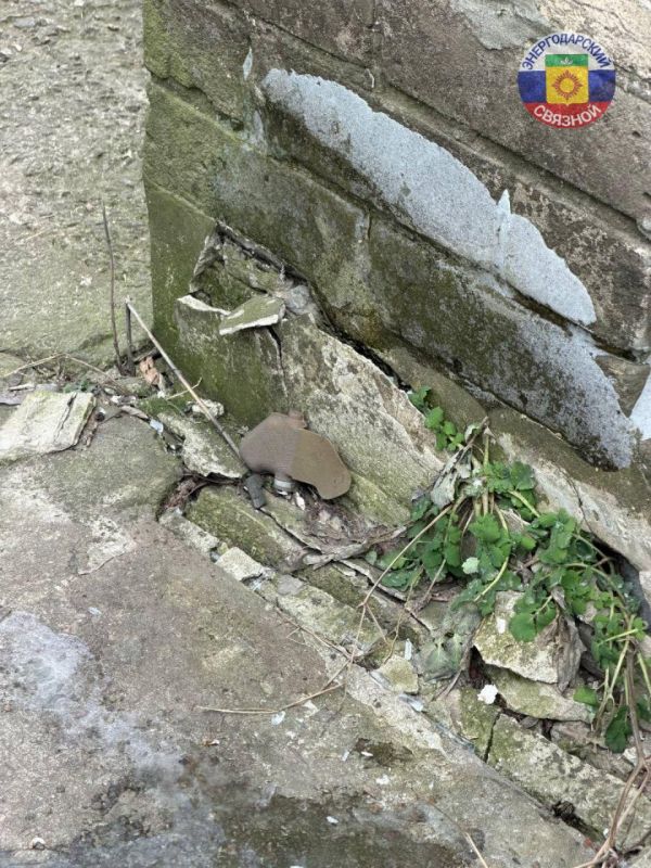 � ��������-����������� ������ �� ������ ���������� ��������������� ���� ���������