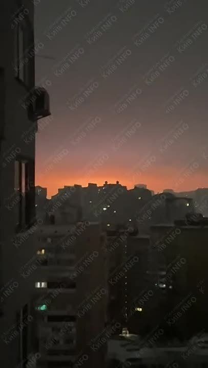 ���� ����� ������ �������� ������