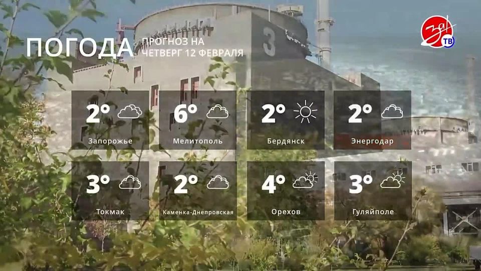 ������� ������ �� ������� 12 �������