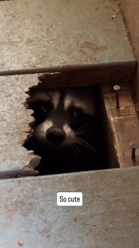 ������ ����, ������! �������� ��� ��� � ��������� ����������!