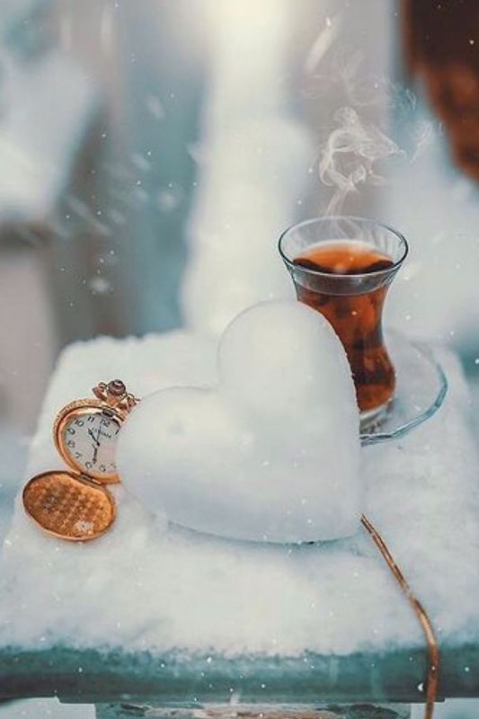 ������ ����, ������������. ����������� ��� � �������� ����������!