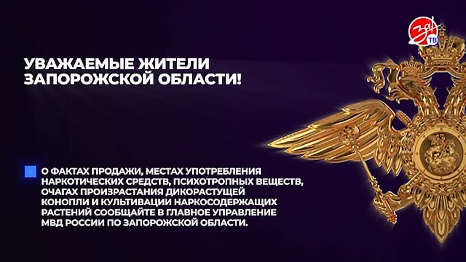 ���� �������� ����� ������ �����: ��� �������� � ������������������ � ����������� �������