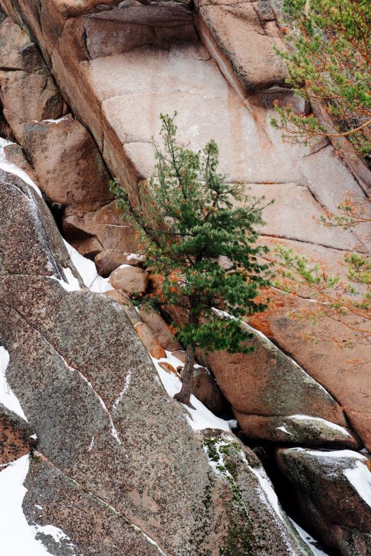 ������ ����!. ������� � �������, 13 �������.����� ��� ����� �������� � ����! ������ �� �������: