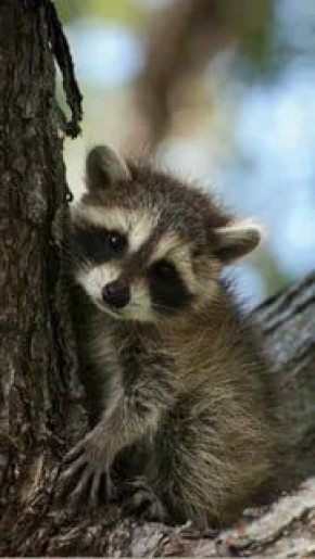 Доброй ночи, дорогие подписчики! Доброй ночи, Запорожье!