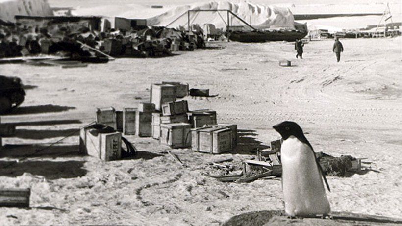 13 �������. 1956, 70 ��� �����