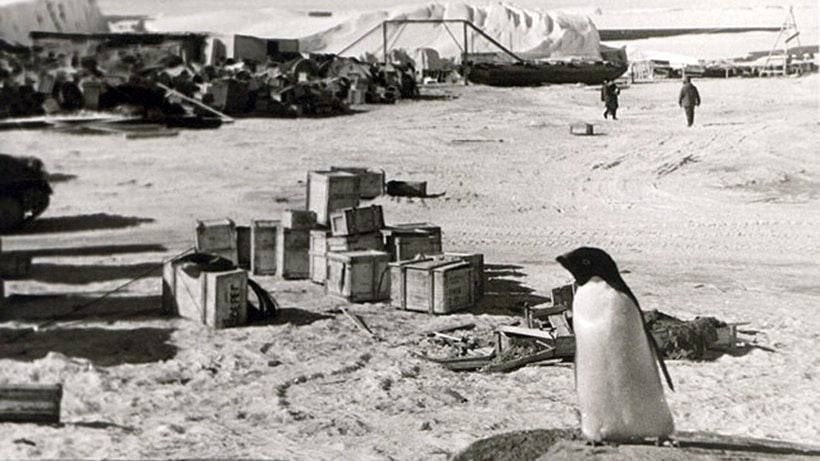 ���� �������: 13 �������. 1956, 70 ��� �����