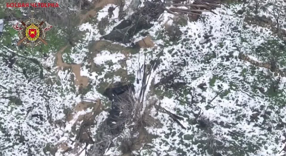 ����������� �����������. �. �. ������