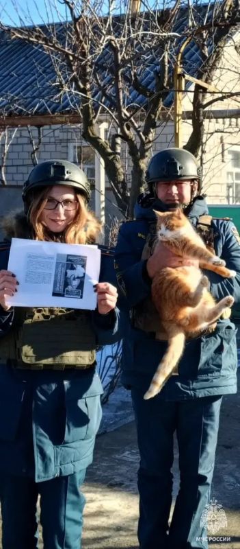 ���������� ��� ������ �� ����������� ������� ���������� � �������� �������� ������������ � ������ ������