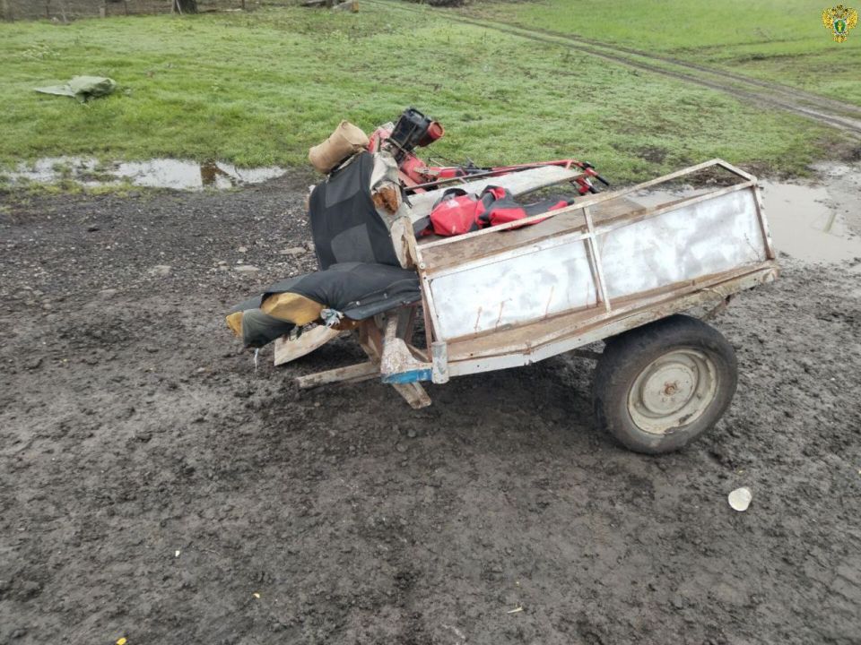 ������ ��������������� ������ ������� �� ���� ����, ������������� ���