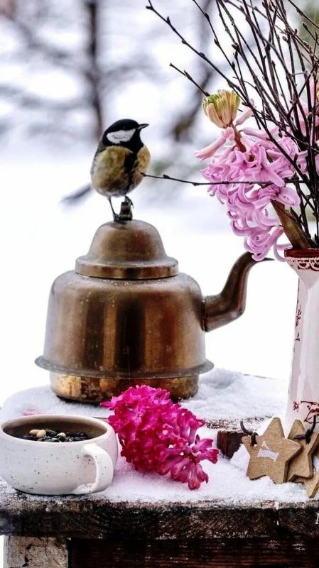 ������ ����, ������������. ����� ������� �� ������ � ���������!