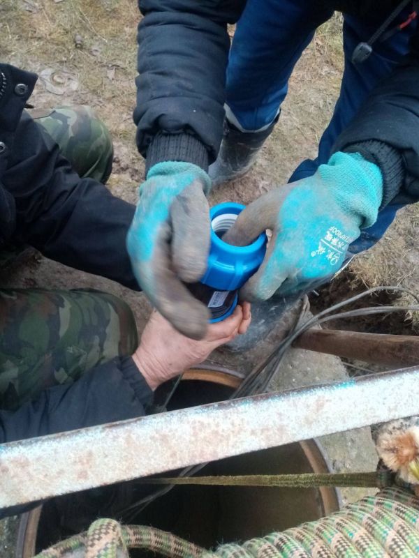 � ���-��� ������ ��������-������ ���������� �������� �� ���������� ������������� � ���� ������� �� ������ �������� � �������������