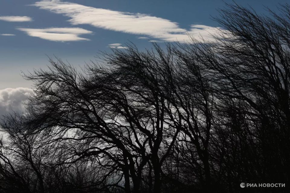 ������ �� ����� ����������� ������