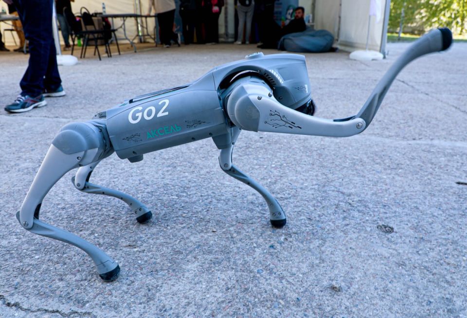 ������ ������ ������� ������ � �������: ���� ������ ����������� 15 �������