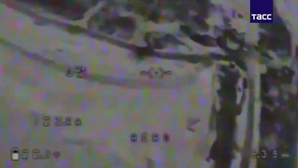 ��������� ���� "�������" ������� ���������� ��� � ����������� �������