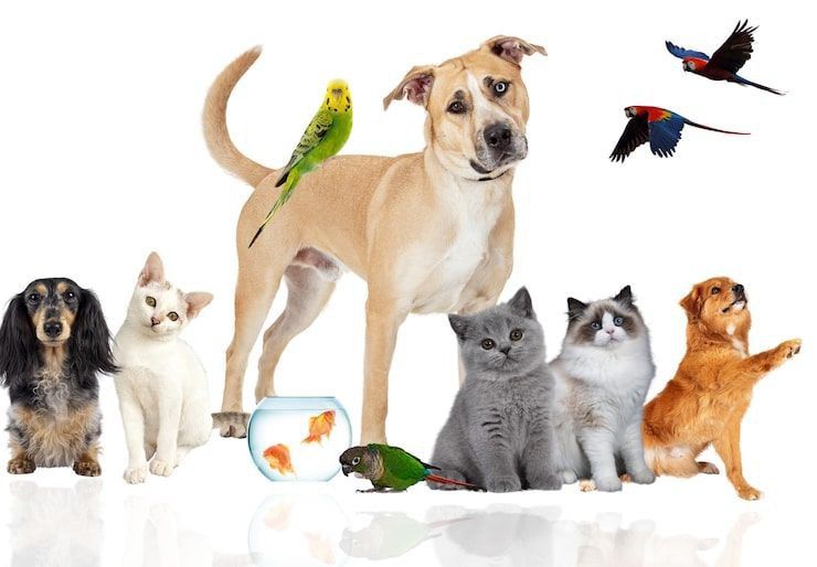 ������������ ��������. � ���� ��� ���������� ����� �������� ��������, ���� �� ������, �����, �����, ������, ������ ��� ������������ �����, � ����� ������ ��������, ������� ������������ ��������������, ����� ��������� ��...