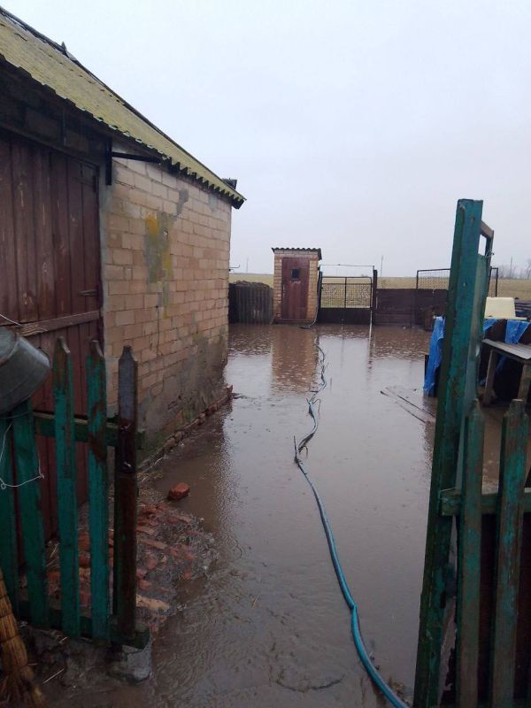 � ���� ������������� ��������� ��������� ������ �� ������ ����