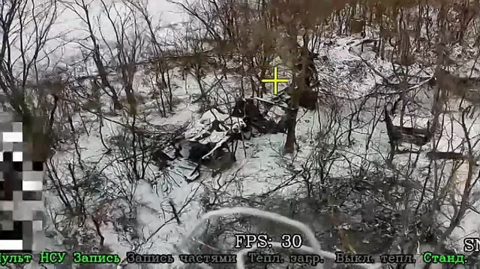 ����������� �����������. ��������� ������� ����� ������������� "�����" 1455 ����� ���������� ������� ����� � ����� ��.������