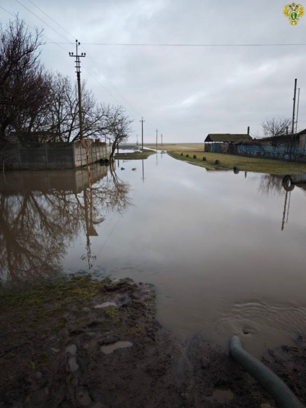 ����������� ������������ ������ ������������ ���������� ����������� ����������� ������ ������