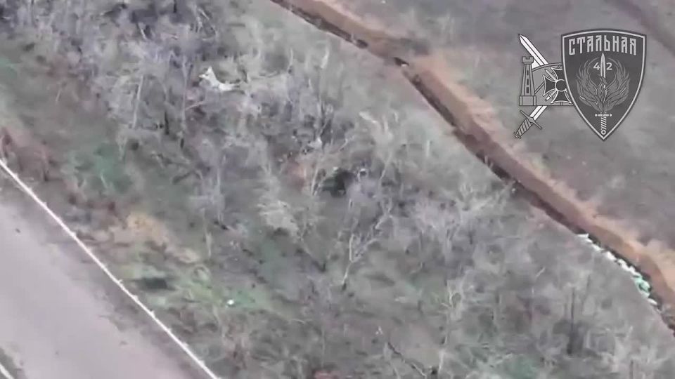 ��������� 71-�� ������������ ����� �������� ������ � ������������ ���������� �����