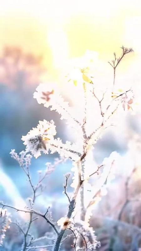 ������ ����!. ������� � �����������, 15 �������