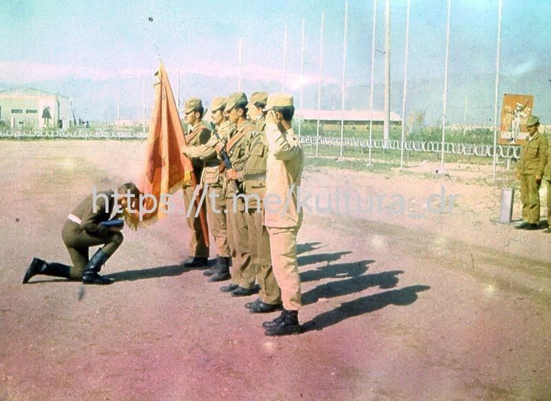 15 ������� � ���� ������ � ���������, ����������� ��������� ���� �� ��������� ���������