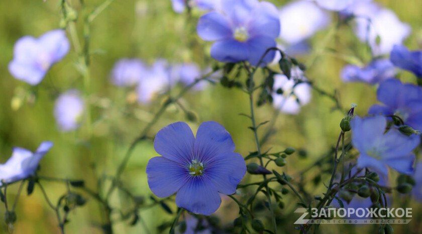 ����������� �������: 15 ������ ��� ������� ����