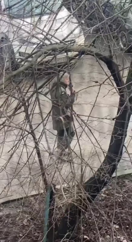 ���������� ���� ������� ����������� "���" � ��� "�������" ����� �� ����� �� �������� ����� �����