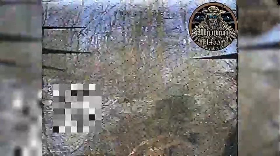 ����������� �����������. ��������� ������� ����� �������������