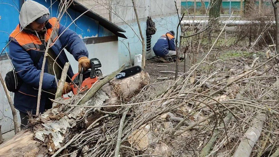 ������� ������ �� ������ � ������: � ���������� ����������� ����������� ��������