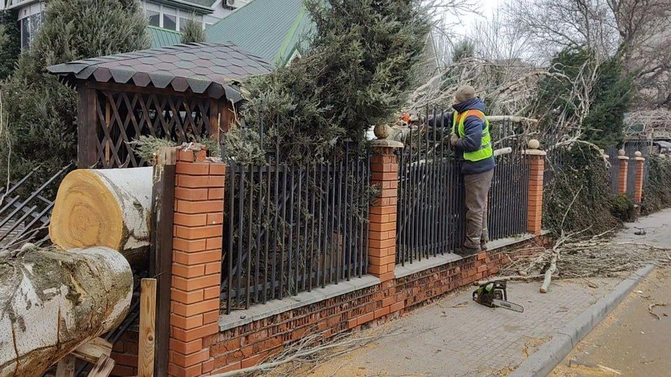 ������� ������ �� ������ � ������: � ���������� ����������� ����������� ��������