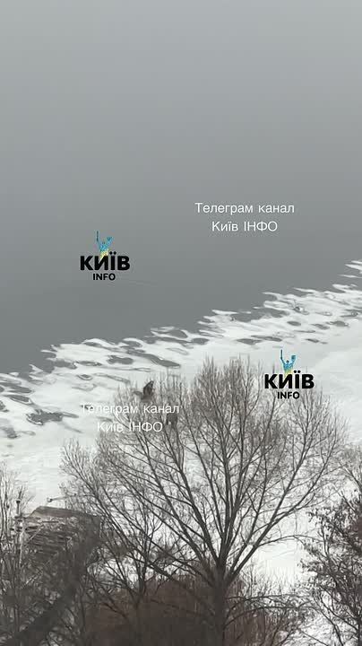 ���������� ���� ������� ����������� "���" � ��� "�������"