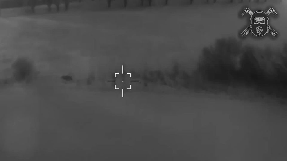 �� ������ �������� ��������� ��� ��� ������� ����� ����������� ������ � ����������� �������� � ������ �.�. �������� ���������� �������